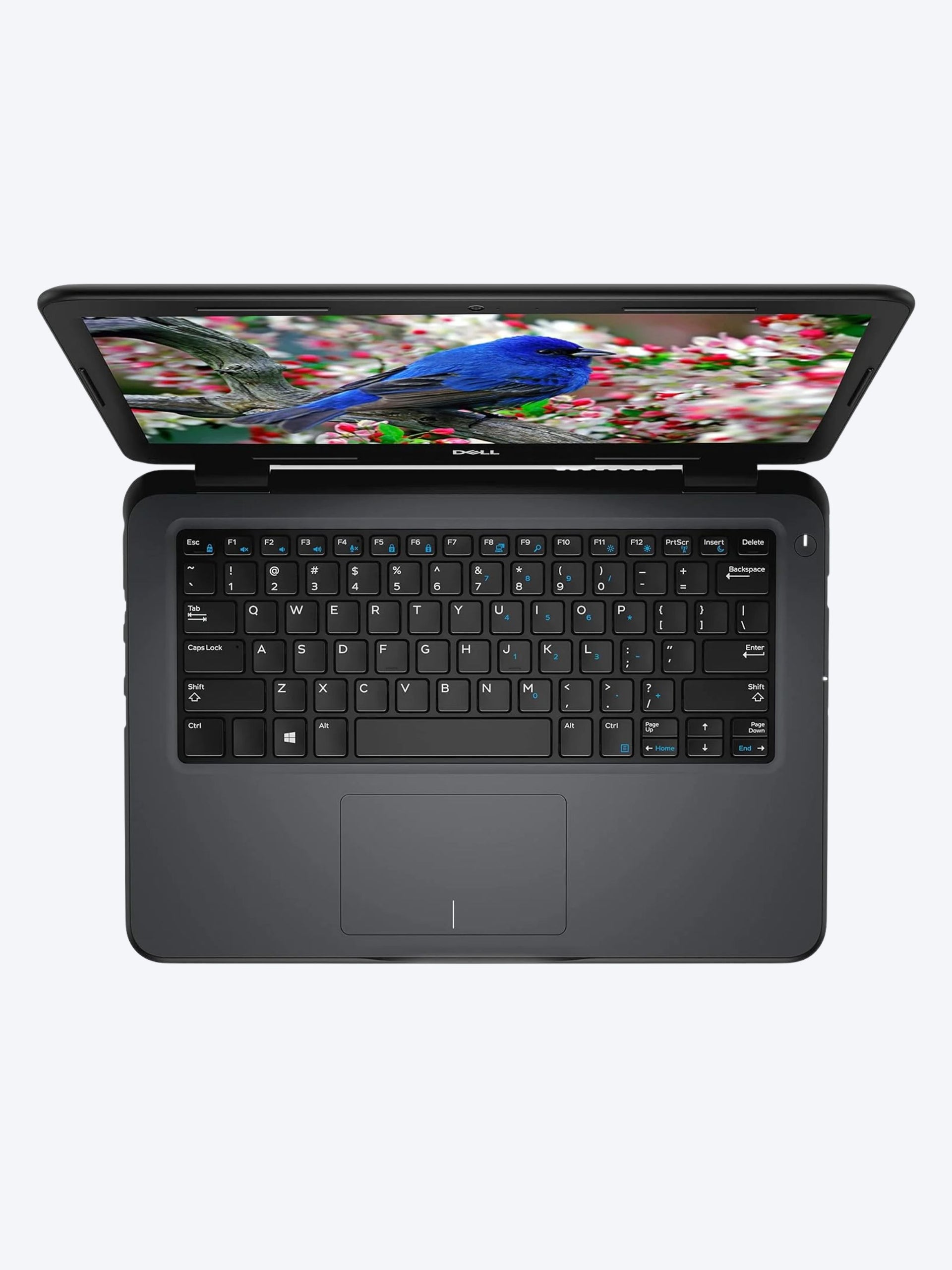 Dell Latitude 3300 Core i5 8th Gen, 8GB RAM, 256GB SSD, 14 inch Display, Windows 11, Renewed