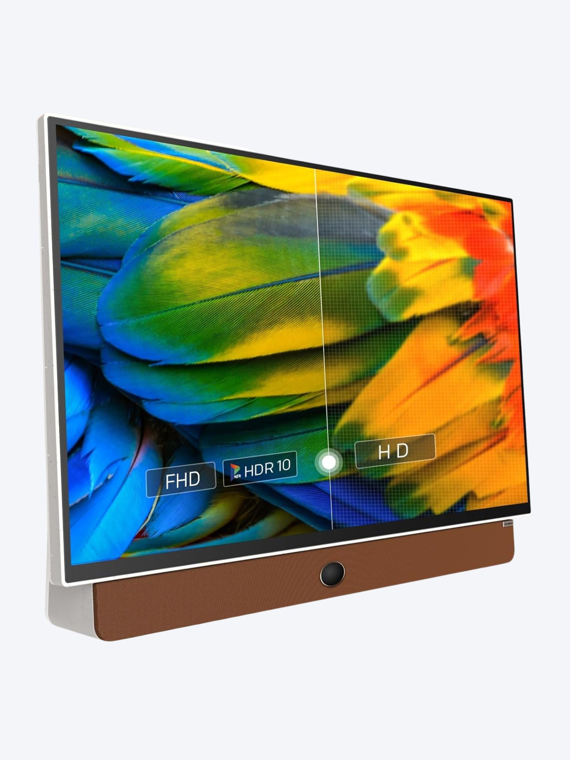 Skyworth 24-Inch P100 Companion Series 1080P FHD Portable Google TV